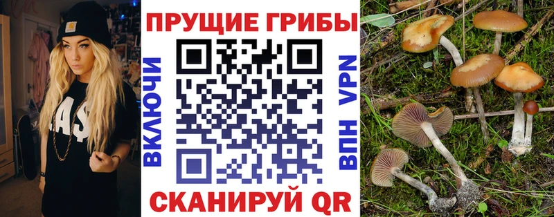 купить наркоту Верхоянск MEGA зеркало Псилоцибиновые грибы прущие грибы